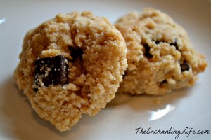 Vegan Coconut Chocolate Chip Cookies