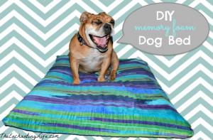 Quick and Easy DIY Dog Bed using memory foam. Dogs love it and it costs under $30!