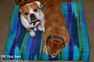 Easy DIY Memory Foam Dog Bed Tutorial on TheEnchantingLife.com