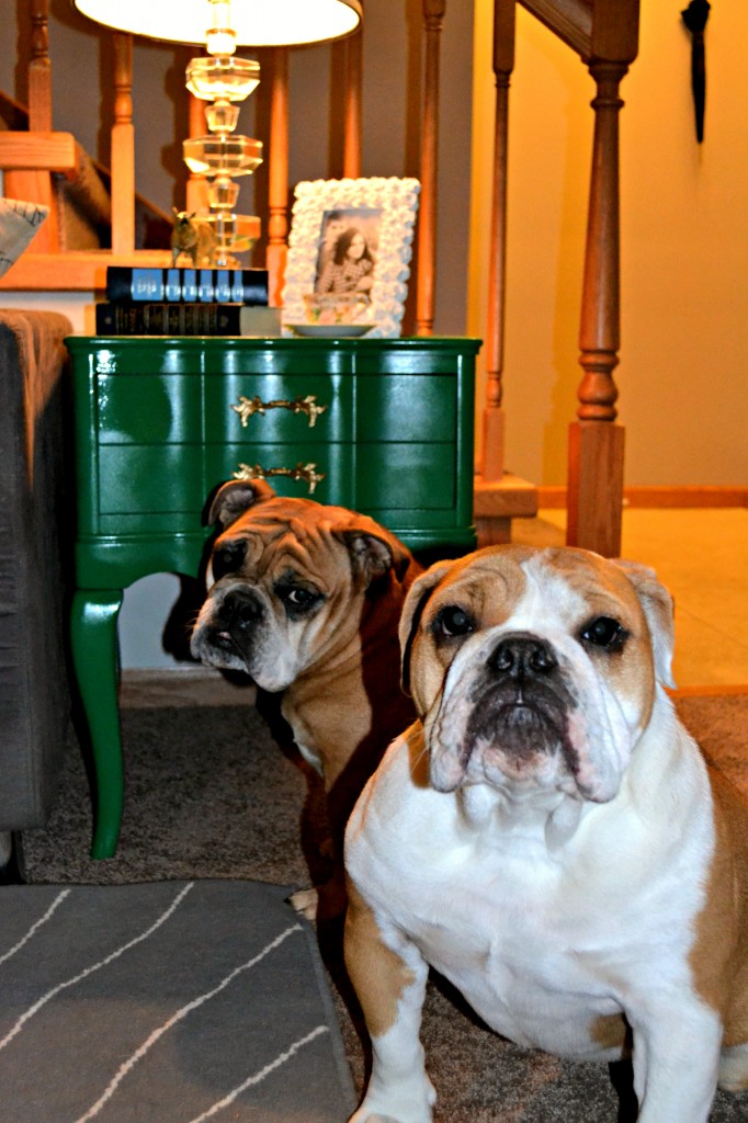 mom and baby girl bulldogs